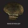Band Of Holy Joy - Fated Beautiful Mistakes