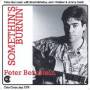Peter Quartet Bernstein - Somethin's Burnin'