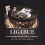 Ligabue - Sette Notti In Arena (CD+DVD) [IT-Version, Regio 2/B]
