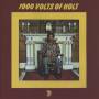 John Holt - 1000 Volts of Holt