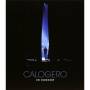 Calogero - En Concert [Regio free (0)]