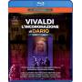Allemano / Mingardo / Dantone / Teatro Regio Torino / + - L'Incoronazione di Dario [DE-Version, Regio 2/B]