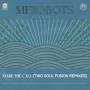 MF Robots - Make The Call - Two Soul Fusion Remixes