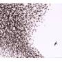 Wilco - Sky Blue Sky