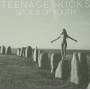 Teenage Kicks - Spoils Of Youth