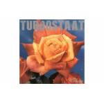 Turbostaat - Schwan