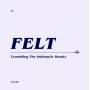 Felt - Crumbling The Antiseptic Beauty (Remast.CD+7)