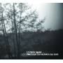 Library Tapes - Feelings For Something Lost