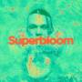 Ashton Irwin - Superbloom (coke Bottle Clear Lp)