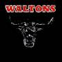 The Waltons - Essential Country Bullshit