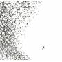 Wilco - Sky Blue Sky