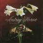 Audrey Horne - No Hay Banda