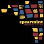 Spearmint - This Candle is for You