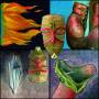 thadeus Gonzalez - Opposite Faces