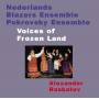 Nederlands Blazers Ensemble / Pokrovsky Ensemble - Voices Of Frozen Land