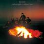 Band - Northern Lights - Southern Cross