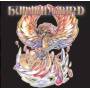 Hummingbird - Hummingbird
