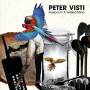 Peter Visti - Illusions In A Twisted Mind
