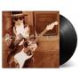 Stevie Ray Vaughan - Live at Carnegie Hall