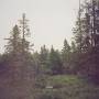 Gidge - Autumn Bells
