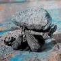Forest Swords - Compassion (lp+mp3)