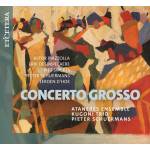 Ataneres Ensemble / Kugoni Trio / Pieter Schuermans - Concerto Grosso