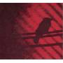 Thee Silver Mt.Zion - BORN INTO THE TROUBLE AS THE S
