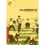 Criterion Collection: Alambrista / (ws) - Alambrista/dvd [US-Version, Regio 1]
