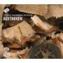 Wallfisch Kantorow / RPO / Shelley - Beethoven: Klavierkonzert 4+Triple