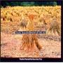 yosuke Yamashita - Wind Of Age