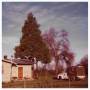 Niilo Smeds - Once You Were A Baby