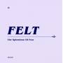 Felt - The Splendour Of Fear (Remastered CD+7'')