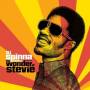 Various - Wonder Of Stevie Wonder Vol.3