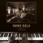 Howe Gelb - Gathered