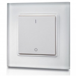 Synergy 21 Led - Controller EOS 05 Wandtaster 1-fach Serie 1