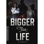 Criterion Collection: Bigger Than Life / (ws Spec) - Bigger Than Life/dvd [US-Version, Regio 1]