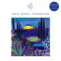 Arno E. Mathieu - Contemplation (2LP+DL)