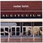 Radar Bros. - Auditorium