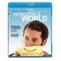 Wonderful World / (ws Ac3 Dol) - Wonderful World Bd [US-Version, Regio 1/A]