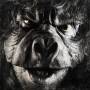 Malachai - Beyond Ugly (lp+mp3)