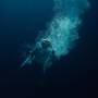 Lapsley - Through Water (Clear Vinyl)