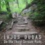 Lajos Dudas - On the third-stream path