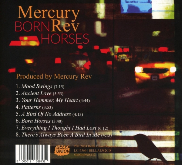 Born Horses 1