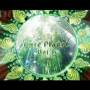 V / a - Pure Planet 2 -8tr-