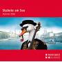 Roseligarte / Landlerorchester - Stubete Am See - Festival 2016