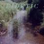Benoit Pioulard - Eidetic