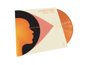 Discern/ Define (Colored 2LP+ MP3) 1