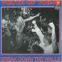 Youth Of Today - Break Down The Walls