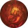 Shai Hulud - Hearts Once Nourished (picture Lp)