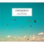 Bill Carrothers / Vincent Courtois - Firebirds